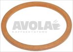COPPER FLAT GASKET ø 24x20x1 mm