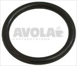 O-RING GASKET M 0160-20 EPDM
