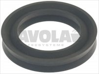 ELEKTRA LIP SEAL ø 41x28x6 mm