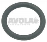 O-RING 0119 EPDM