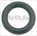 O-RING 106 VITON