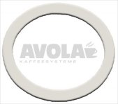 PTFE FLAT GASKET ø 53x43x3 mm 1 1/4