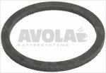 FLAT CARBO GASKET