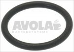 GASKET ORM 0160 - 20 EPDM