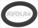 O-RING 0119 VITON