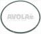 boiler gasket