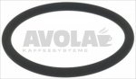 O-RING 0146 VITON