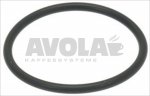 O-RING ORM 0320-25 NBR