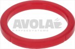 FILTER HOLDER GASKET