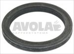 FLAT GASKET