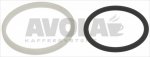 PISTON RING NUTS KIT
