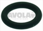 GASKET ORM 0078-19 VITON