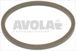 FLAT GASKET