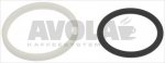 PISTON RING NUTS KIT