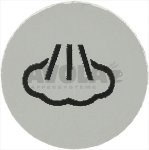 STEAM SILK SCREEN PRINT. F. HANDLE