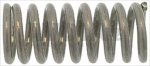 VALVE SPRING
