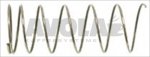 NON-RETURN VALVE SPRING