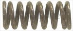 MANIFOLD SPRING