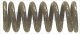 manifold spring