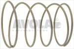 DRAIN SPRING