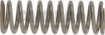 TAP SPRING