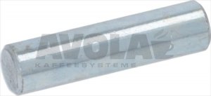 DOSER CASE PIN