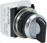 BIPOLAR SWITCH 10A 690V