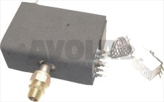 STEAM BOILER 3Kw 220V