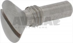SUPPORT SCREW