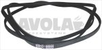 TOOTHED BELT MULTI V J8 1165