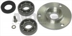ABRASIVE DISC BEARINGS KIT