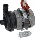 ELECTRIC PUMP LGB ZF143SX 0.33HP