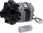 ELECTRIC PUMP AP 2031SX 1HP