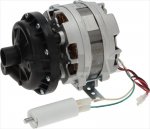 ELECTRIC PUMP AP 1011SX 0.25HP