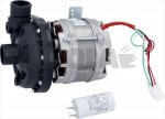 ELECTRIC PUMP AP 42470SX 0.60HP