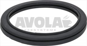 DOOR GLASS GASKET