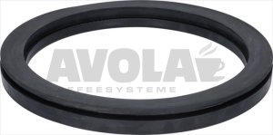 DOOR GLASS GASKET