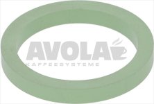 VITON GASKET FOR HEATING ELEMENT