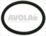 SPRING GASKET