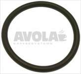 VITON O-RING 06212
