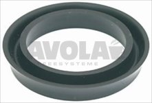 LIP GASKET FOR OVERFLOW PIPE