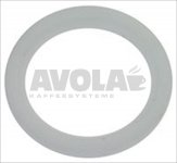 FLAT PTFE GASKET