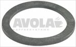 SUPPORT GASKET