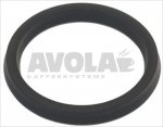 MAIN SHAFT SEALING GASKET