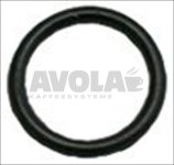 O-RING