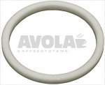 PTFE FLAT GASKET