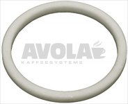 PTFE FLAT GASKET
