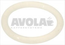 WHITE SILICONE GASKET