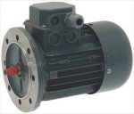 MOTOR 63m-4/2 0.25HP 400/460V