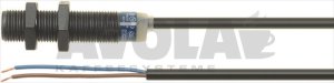 MAGNETIC MICROSWITCH